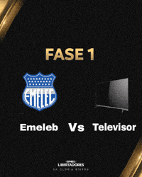 Liga De Quito Ldu GIF