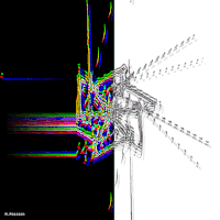 GIF by Michel Poisson