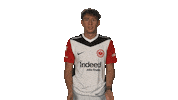 Oh No Frankfurt Sticker by Bundesliga