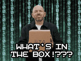 What Do We Have Here Paul Scheer GIF by Dark Web