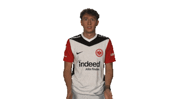 Oh No Frankfurt Sticker by Bundesliga