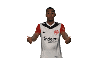 Oh No Frankfurt Sticker by Bundesliga