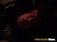 twin peaks GIF by Stan.