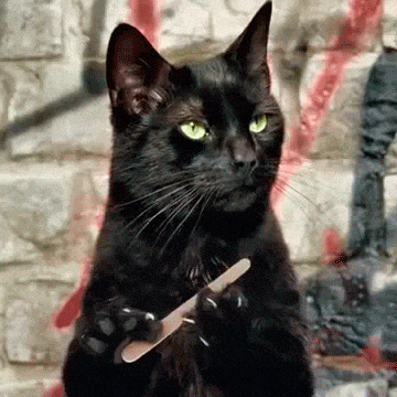 Cat donation support