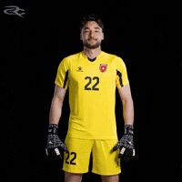 Fifa World Cup Jordan GIF by Respective