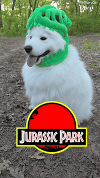 Dinosaur Dino GIF