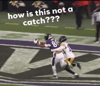 Baltimore Ravens GIF