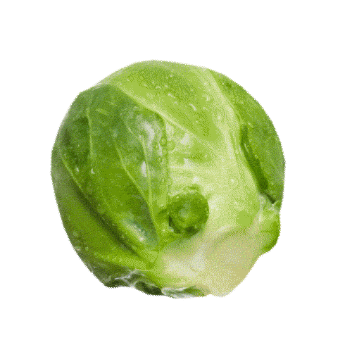 Brussels Sprout Spinning Sticker by trainline