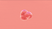 hands banana GIF by Agatha Yu