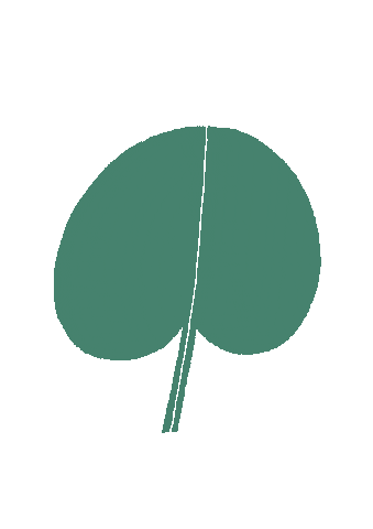 Plants Blatt Sticker by mitliebegemacht