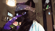 furry GIF