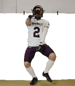 American Football Sticker by Frankfurt Galaxy