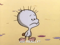 angry beavers nicksplat GIF
