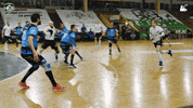 Czech Republic Handball GIF by HCB Karviná