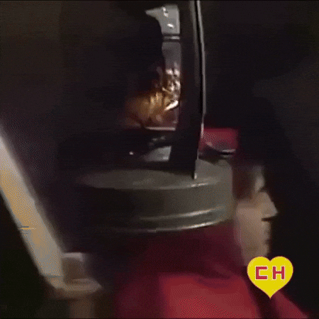 Chapulin Colorado Chapolin GIF by Grupo Chespirito