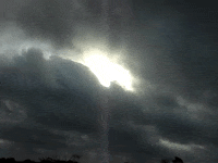 Education Biology GIF by DIIMSA Stock