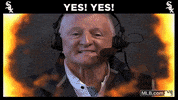 cws GIF by MLB