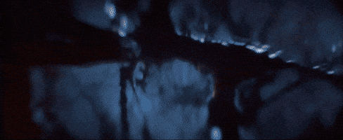d4441 giphyupload GIF