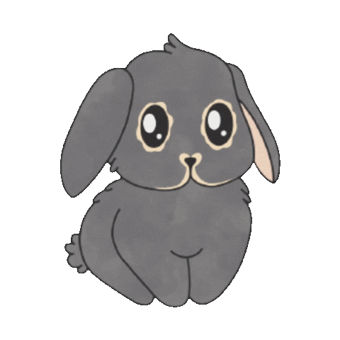 Hollandlop Sticker