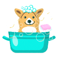 Pet Shop Puppy Sticker by Villa Pet Salvador