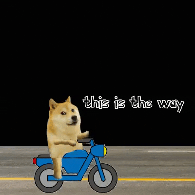 Meme gif. Shiba Inu Doge meme rides a blue motorcycle down a nighttime street, passing by a full moon with the Doge's face in it. Text, "This is the way."