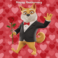 Happy Anniversary Love GIF by Doge Pound