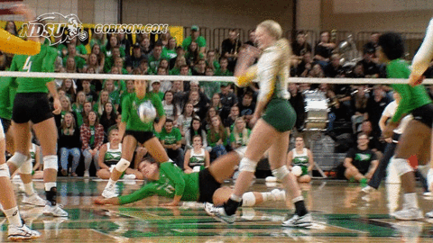 north dakota state bison GIF by NDSU Athletics
