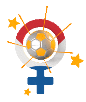 Nederlands Elftal 3D Sticker by GoStijn