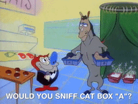 ren and stimpy nicksplat GIF