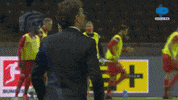 Happy Dance GIF by MolaTV