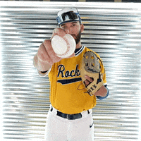Toledo Baseball GIF by Toledo Rockets