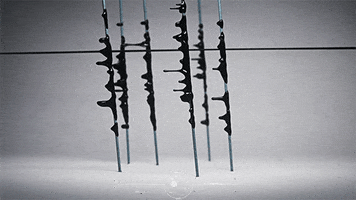 short film gravity is dead GIF by Digg