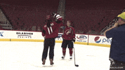 Arizona Coyotes GIF by Arizona Cardinals
