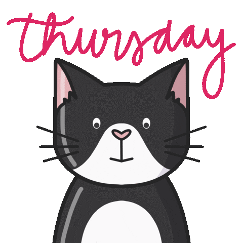Serious Tuxedo Cat Sticker by Cat & Raven