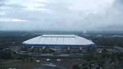 Football Soccer GIF by FC Schalke 04