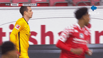 Premier League Football GIF by MolaTV