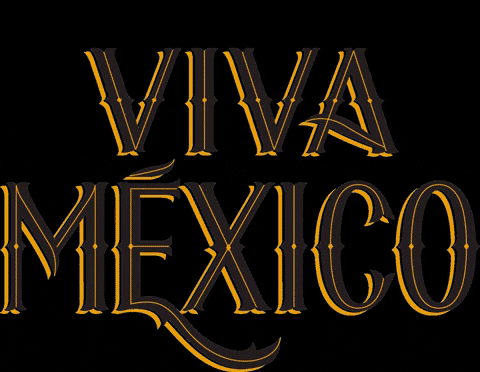 vivamexicomx giphygifmaker tequila viva mexico tequila viva mexico GIF