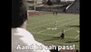 football night friday amazing lights GIF