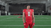 Seth Collins GIF by Texas Tech Football