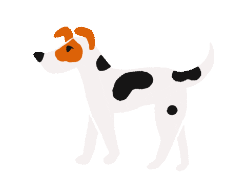 Jack Russell Dog Sticker by Emily Redfearn