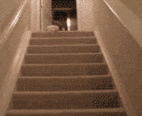 cute baby GIF