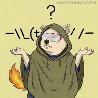 Confused Question Mark GIF by Doge Pound