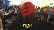 Stayfilm yes stayfilm GIF