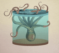 art octopus GIF by Nate Makuch