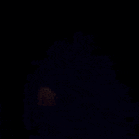 attack of the killer tomatoes horror movies GIF by absurdnoise