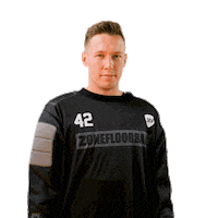 Floorball Hartman Sticker by Český florbal