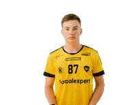 Floorball Hartman Sticker by Český florbal