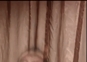 scared justice bao GIF