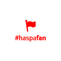 Fan Flag Sticker by HASPA - Hamburger Sparkasse