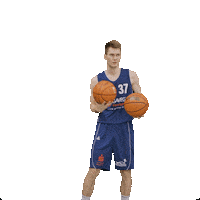 Bensheim Sticker by VfL Basketball